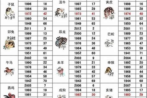 2005年生肖五行|十二生肖五行对照表 生肖属相年份五行对照表